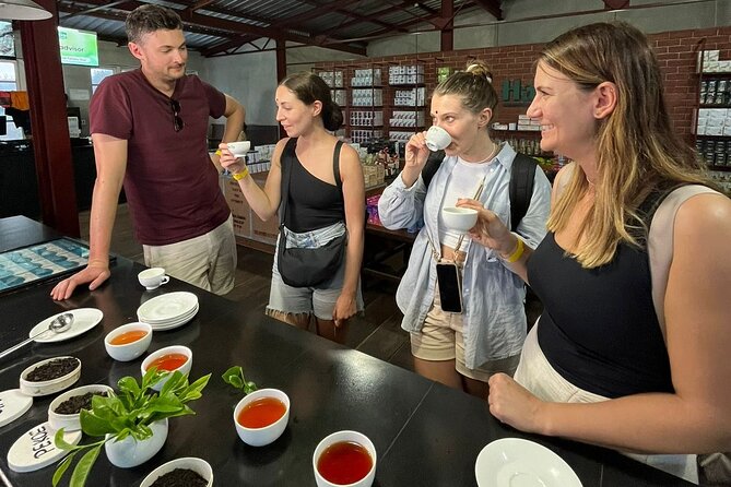 Handmade Tea Tour in Ella Sri Lanka - Engaging Tour Experience