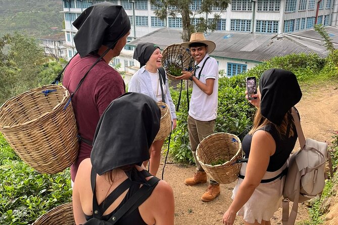 Handmade Tea Tour in Ella Sri Lanka - Preparing for Your Tea Adventure