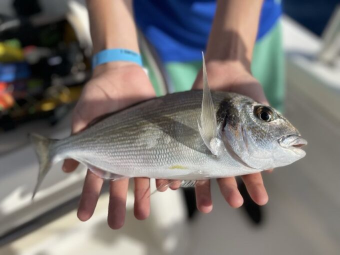Hands-On Fishing Trip With Swimming at Sea - What to Expect