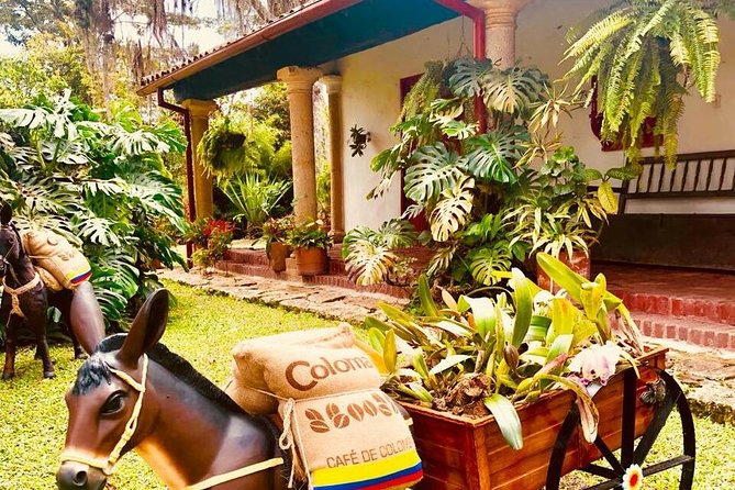 Hands-On Tour to Coffee Plantation From Bogota Option Basic - Key Points