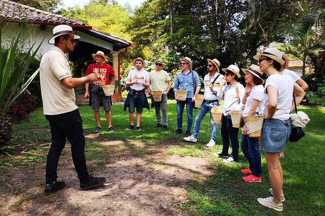 Hands-On Tour to Coffee Plantation From Bogota Option Basic - Pricing and Cancellation