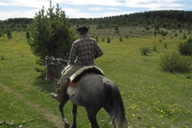 Haneck Horseback Riding - Key Points