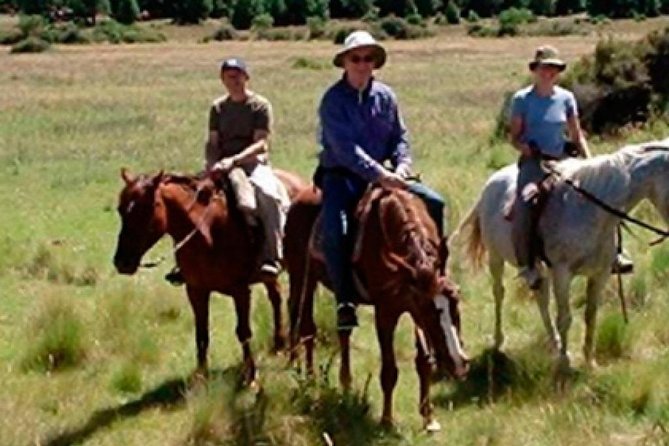 Haneck Horseback Riding - Equestrian Adventure Awaits