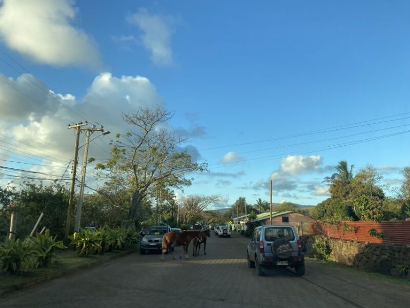 Hanga Roa: the Only City of Rapa Nui - Frequently Asked Questions