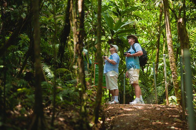 Hanging Bridges Adventure San Luis From San Jose - Key Points