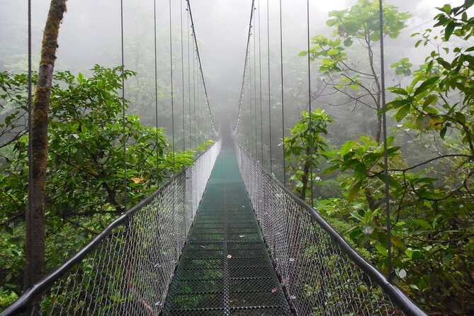 Hanging Bridges Adventure San Luis From San Jose - Cloud Forest and Hummingbird Garden