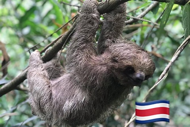 Hanging Bridges and Nature Preserve at Tenorio Volcano - Dining and Refreshment Offerings