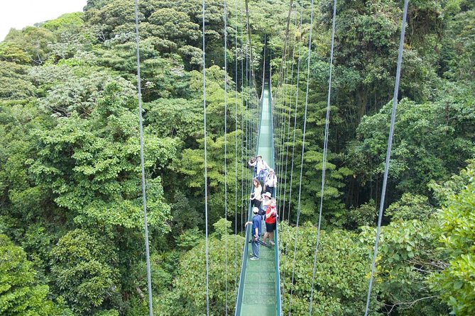 Hanging Bridges and Nature Preserve at Tenorio Volcano - Logistics and Requirements