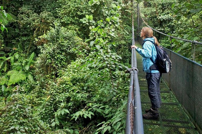 Hanging Bridges and Nature Preserve at Tenorio Volcano - Preparing for Your Adventure