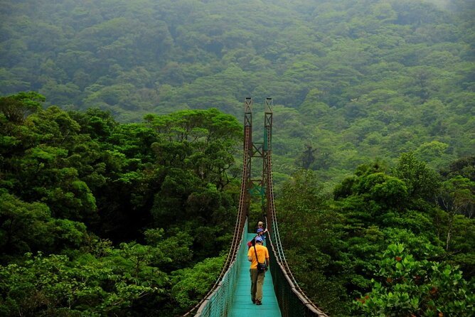 Hanging Bridges Guided Walk - Guided Tour Details