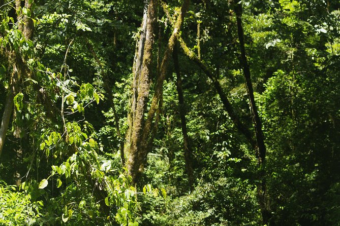 Hanging Bridges Private Service - Included Amenities