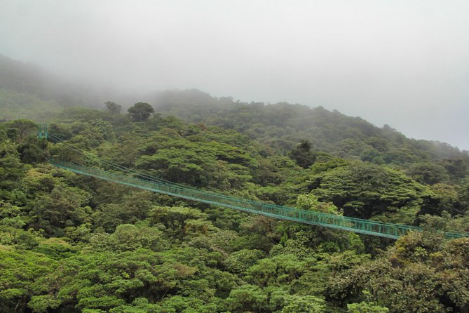 Hanging Bridges & Tour Guide From Monteverde - Inclusions and Logistics
