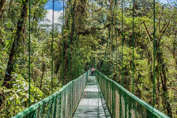 Hanging Bridges & Tour Guide From Monteverde - Safety and Construction Standards