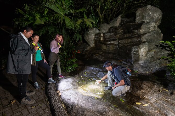 Hanging Bridges Twilight Walk in Arenal Volcano - Preparing for the Twilight Hanging Bridges Walk