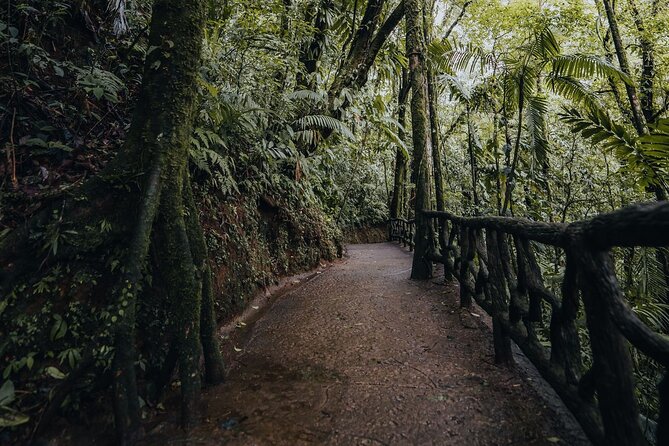 Hanging Bridges Walk in Arenal Volcano - Accessibility and Physical Requirements