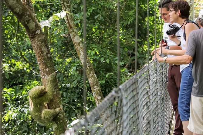 Hanging Bridges Walk in Arenal Volcano - Guided Vs. Self-Guided Tours