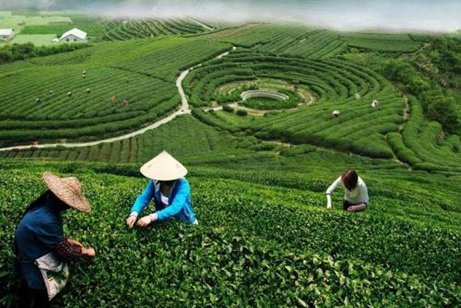Hangzhou Private Customized Day Trip From Shanghai by Bullet Train - Meeting and Transfer Points
