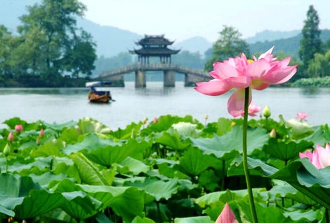 Hangzhou Private One Day Trip From Shanghai by Bullet Train - Frequently Asked Questions