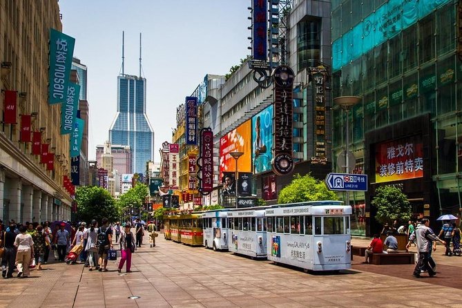 Hangzhou Private Transfer to Shanghai With Drop-Off Options - Inclusions