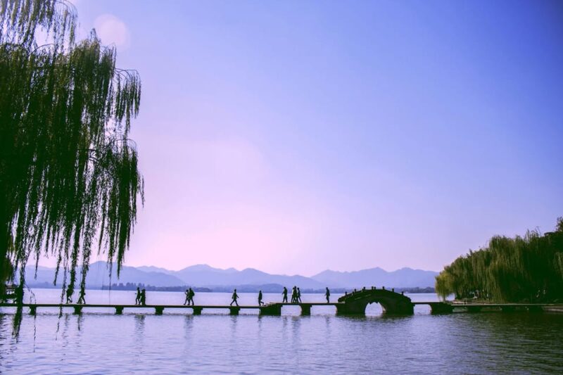Hangzhou: West Lake and Tea Plantation Day Trip - Itinerary Highlights
