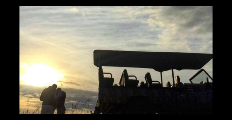 Hankey: Pabala Nature Reserve Game Drive & Picnic With Wine - Key Points