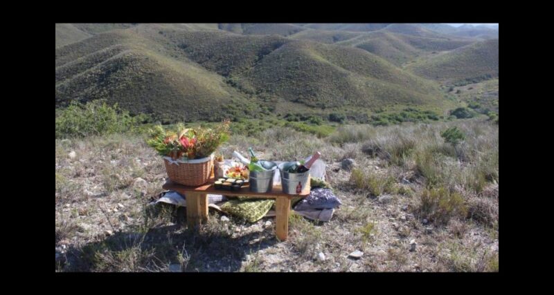 Hankey: Pabala Nature Reserve Game Drive & Picnic With Wine - Observing Local Wildlife