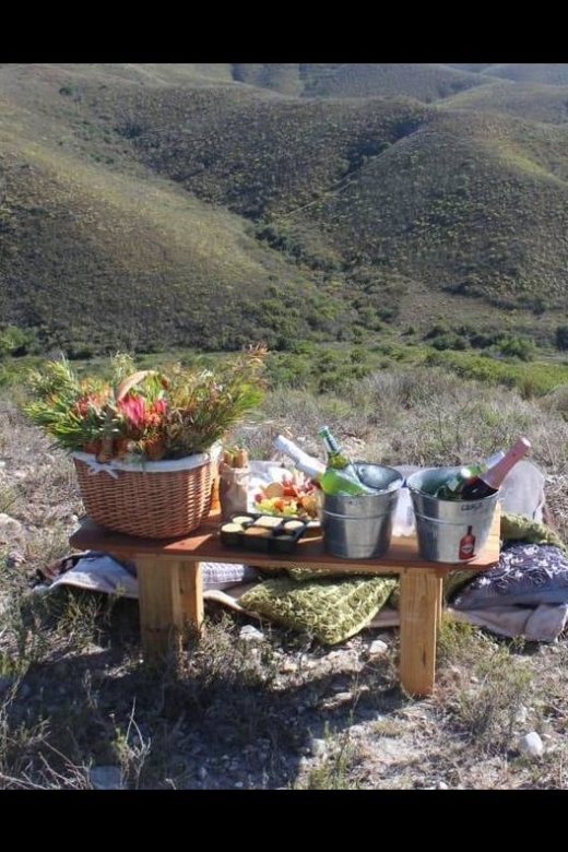 Hankey: Pabala Nature Reserve Game Drive & Picnic With Wine - Delectable Picnic Basket