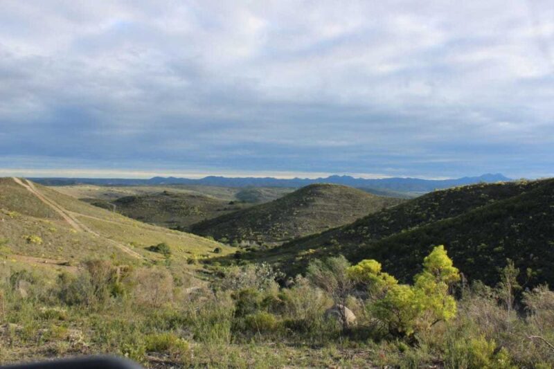 Hankey: Pabala Private Nature Reserve Game Drive With Snacks - Availability and Game Drive Times