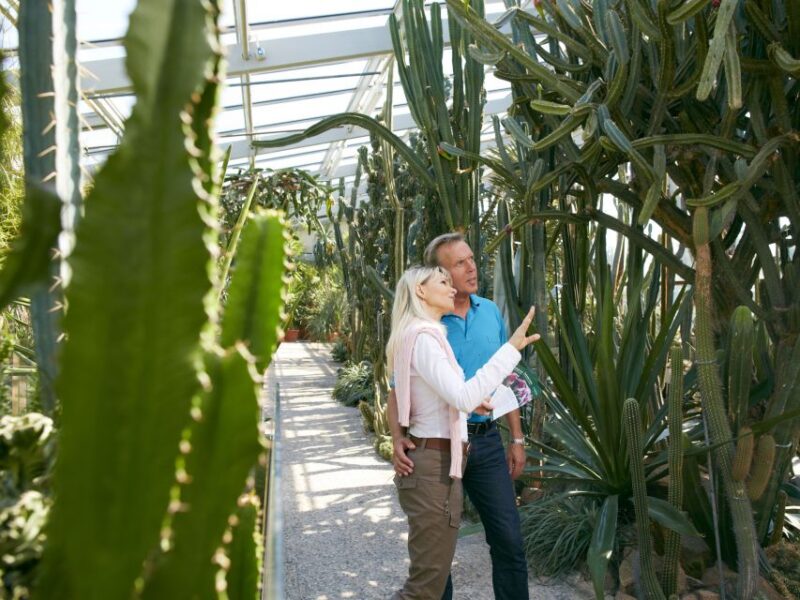 Hannover: Guided Tour of the Berggarten - Duration and Language