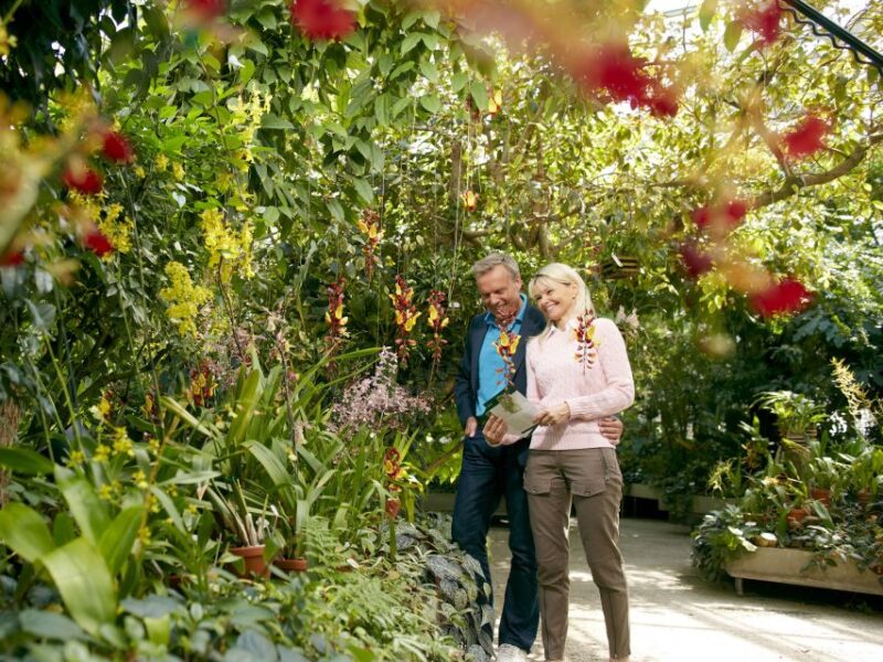 Hannover: Guided Tour of the Berggarten - Wheelchair Accessibility