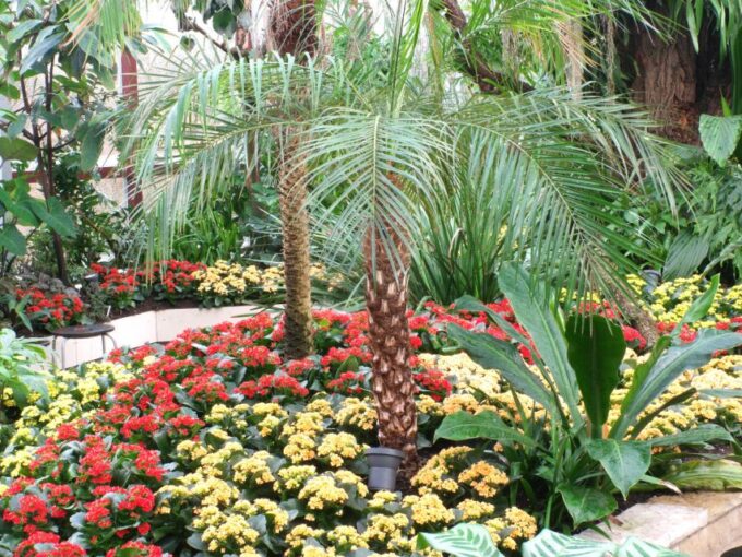Hannover: Guided Tour of the Berggarten - Frequently Asked Questions