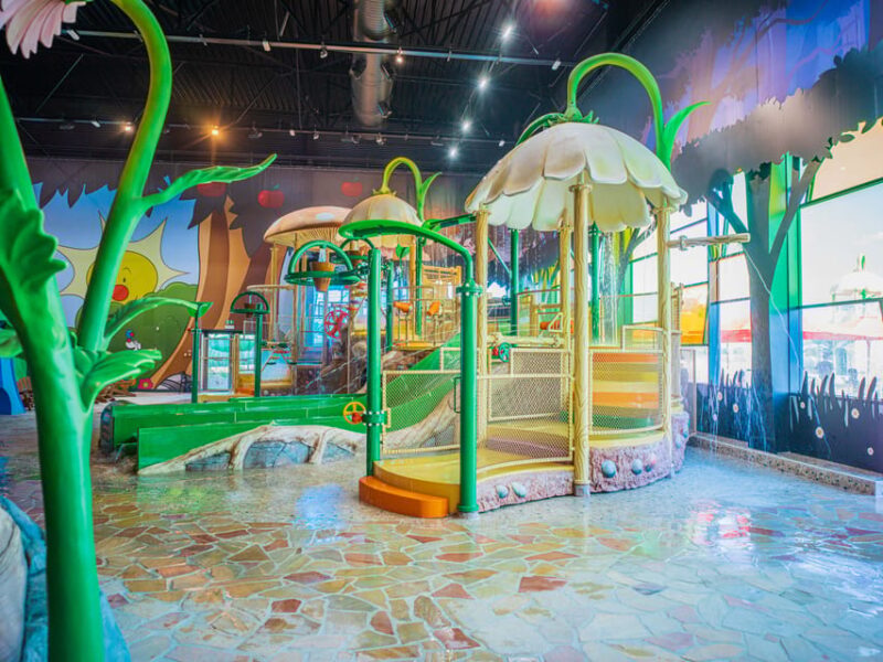 Hannut: Plopsaqua Hannut-Landen Water Park Entry Ticket - Attractions and Experience