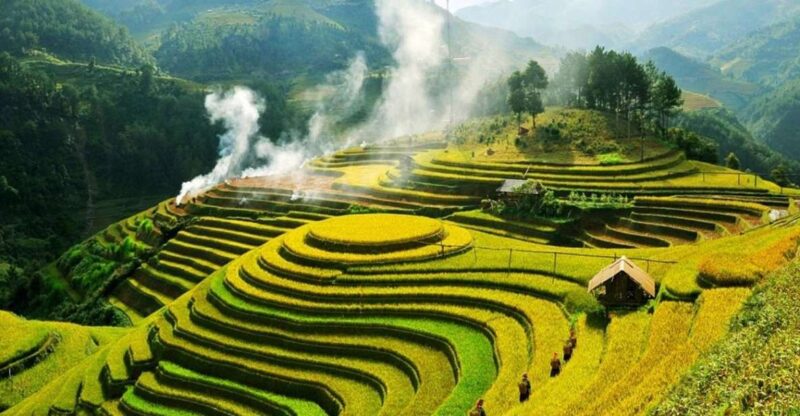 Hanoi: 2-Day Sa Pa Guided Village & Homestay Trekking Tour - Included Services