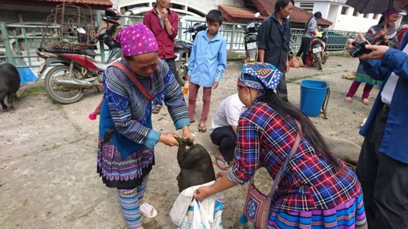 Hanoi: 2-Day Sa Pa Guided Village & Homestay Trekking Tour - Exclusions and Limitations
