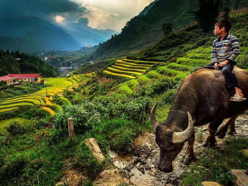 Hanoi: 2-Day Sapa and Fansipan Mountain Tour With Sleep Bus - Itinerary Highlights: Day 2