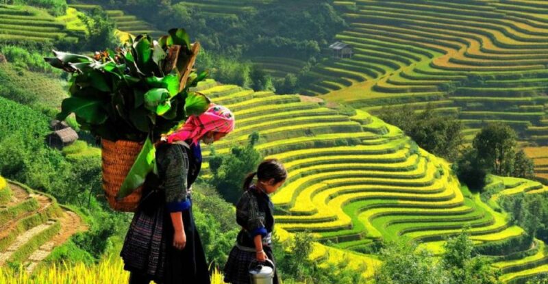 Hanoi: 2-Day Ta Van & Sapa Trek With Local Guide & Homestay - Lunch in Lao Chai