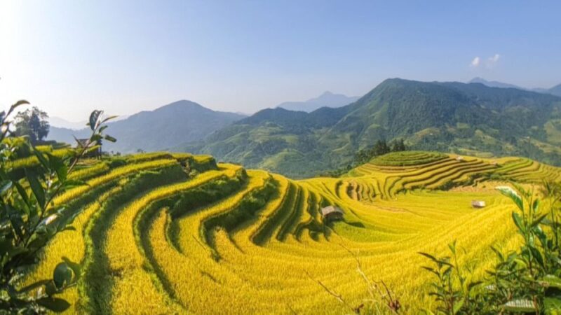 Hanoi: 2-Day Ta Van & Sapa Trek With Local Guide & Homestay - Homestay in Ta Van Village
