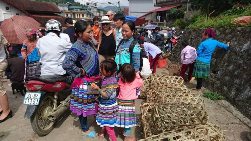 Hanoi: 2-Day Ta Van & Sapa Trek With Local Guide & Homestay - Trek Through Bamboo Forest