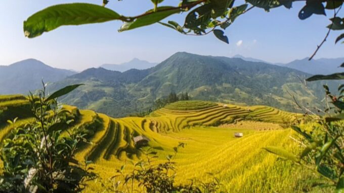 Hanoi: 2-Day Ta Van & Sapa Trek With Local Guide & Homestay - Return to Sapa Town