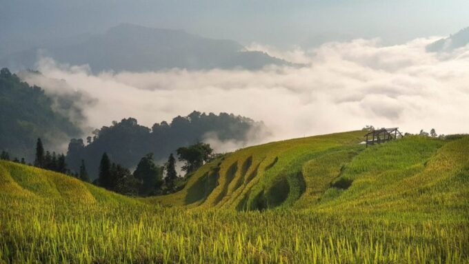 Hanoi: 2-Day Ta Van & Sapa Trek With Local Guide & Homestay - Flexible Program and Pricing