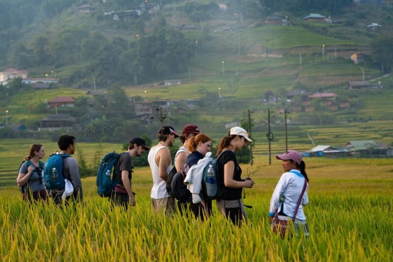 Hanoi: 2 Days Sapa Trekking Trip With Local Guide & Homestay - Key Points