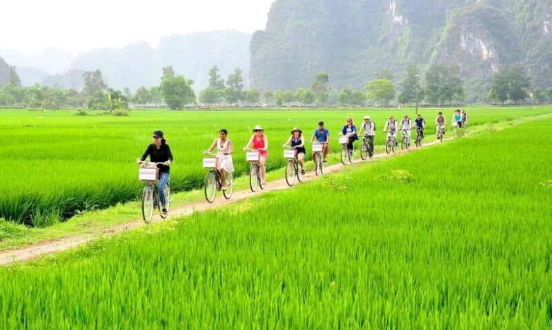 Hanoi: 2D 1n_ Ha Long 1day & Ninh Binh Full Day and Bungalow - Overview and Pricing
