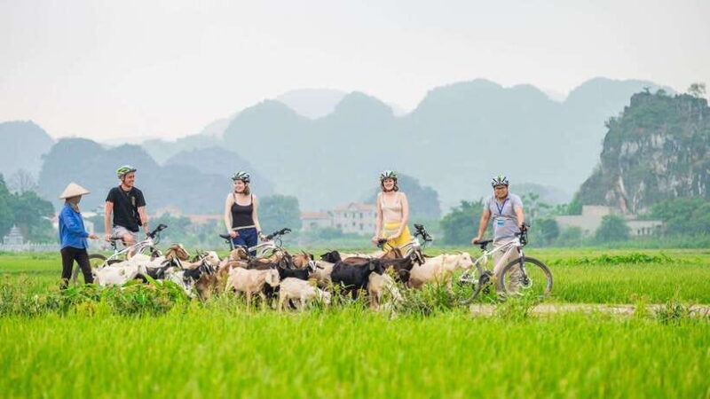 Hanoi: 2D 1n_ Ha Long 1day & Ninh Binh Full Day and Bungalow - Accessibility and Optional Activities