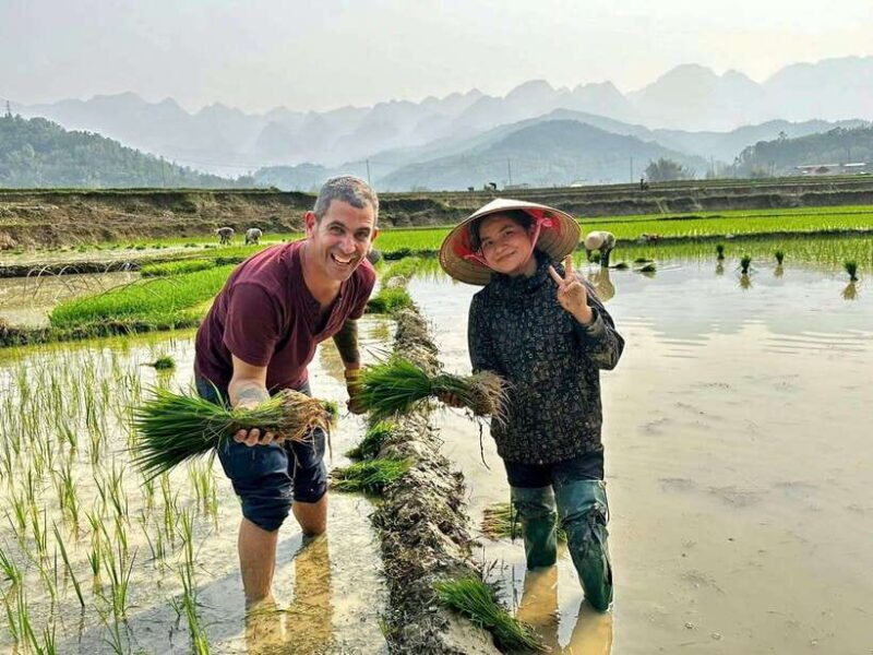 Hanoi: 3-Day Authentic Sapa Trekking, Fansipan by Cable Car - Tour Overview and Pricing