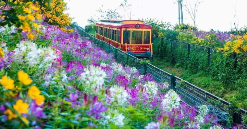 Hanoi: 3-Day Authentic Sapa Trekking, Fansipan by Cable Car - Day 2: Trek Through Lao Chai & Ta Van Villages