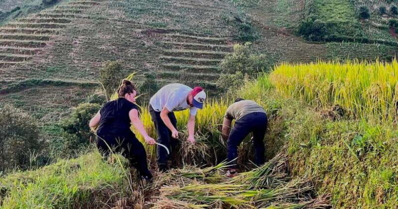 Hanoi: 3-Day Mu Cang Chai Trekking, Hidden Trail, Local Life - Frequently Asked Questions