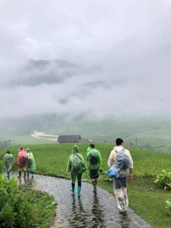 Hanoi: 3- Days Sapa- Cat Cat, Lao Chai, Glass Bridges - Day 2: Trekking to Y Linh Ho and Lao Chai