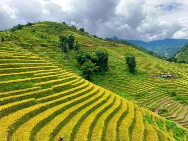 Hanoi: 3- Days Sapa- Cat Cat, Lao Chai, Glass Bridges - Exploring Ta Van Village