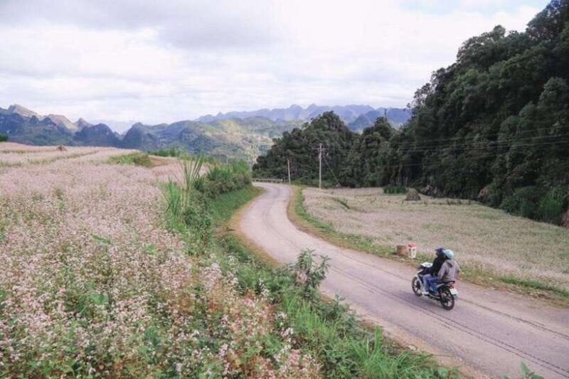Hanoi: 4-Day Ha Giang Loop Motorbike Tour Group or Private - Accommodation and Meals