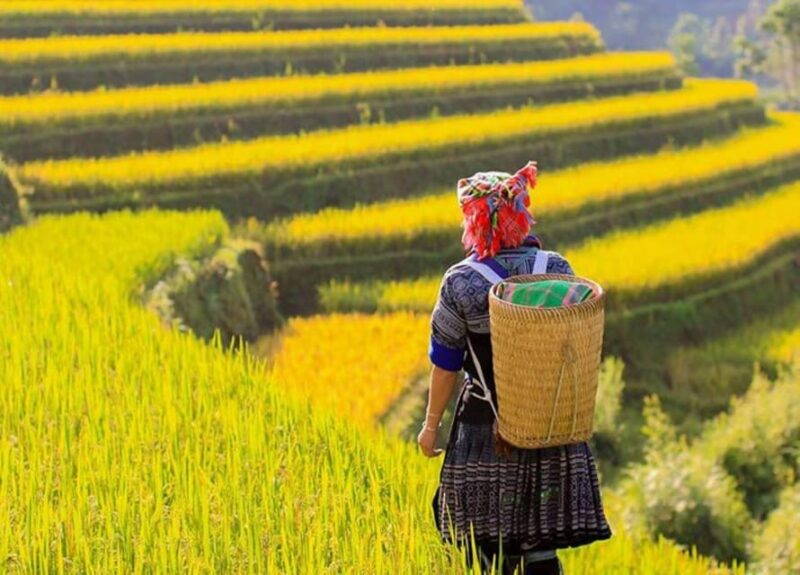 Hanoi 5-Day Trip : Sapa-Ninh Binh-Halong Bay 5-Stars Cruise - Key Points